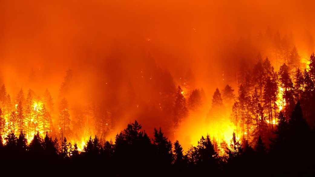 अमेज़न के जंगल में बिजली की रफ्तार से फैल रही है आग