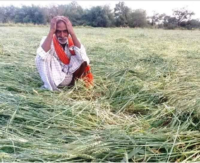किसानों के लिए तत्काल राहत कार्य शुरू करे सरकारः दारापुरी