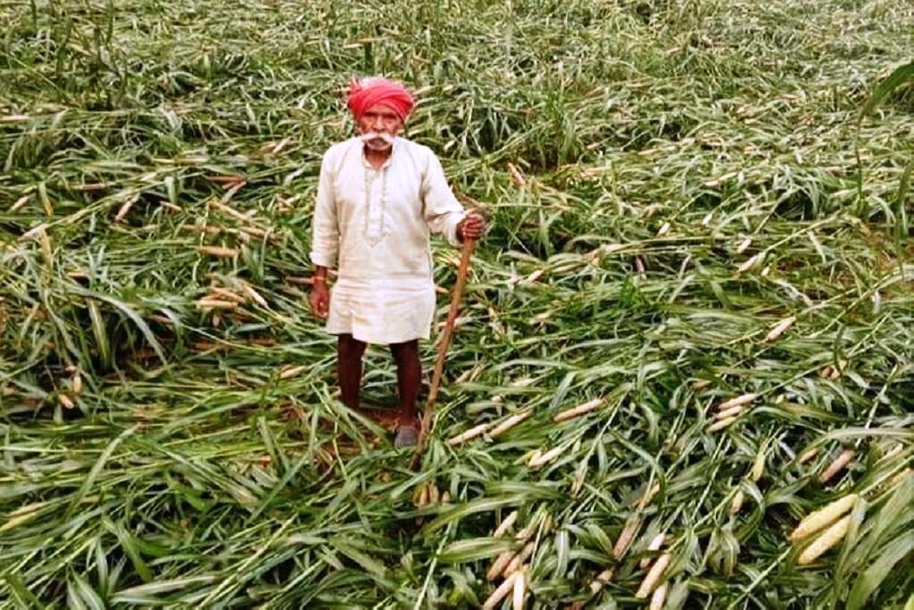 ओला और बारिश से बर्बाद किसान सरकार की चिंता में नहीं