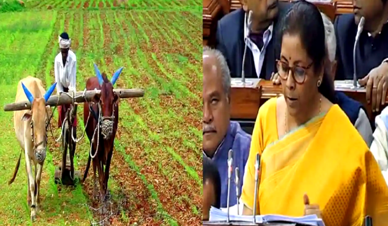 बजट ने किया निराश, किसानों की आत्महत्याएं बढ़ने की आशंका- डॉ. सुनीलम