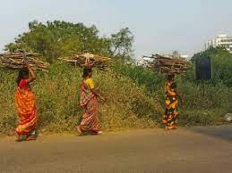 तेलंगाना में जंगल से जलाऊ लकड़ी बीनने पर वन विभाग अधिकारी ने आदिवासी महिलाओं की पिटाई के बाद उतारे कपड़े