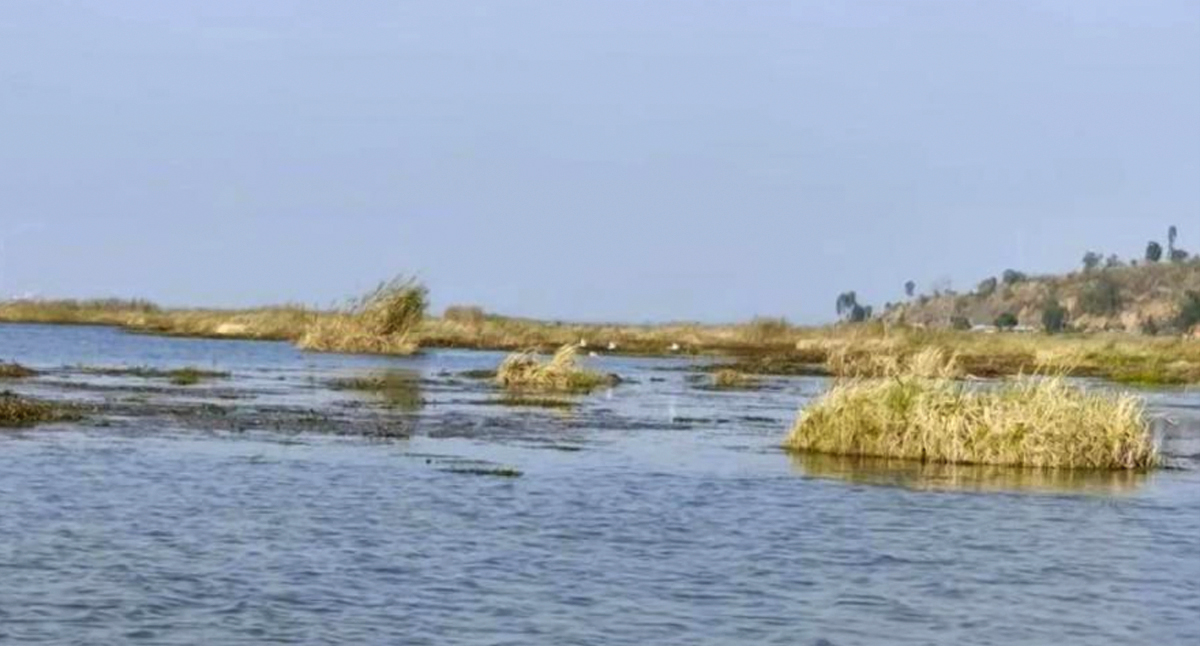 कब तक बच पाएगी मणिपुर में स्थित विलक्षण लोकतक झील?