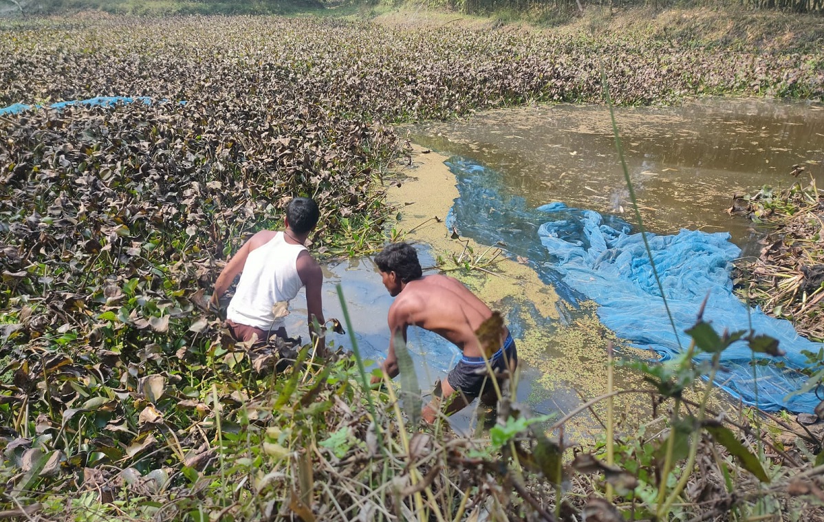 स्पेशल रिपोर्ट: बेहिसाब पानी होने के बावजूद आखिर बिहार के लोग मछली के लिए आंध्रा और बंगाल पर क्यों हैं निर्भर?