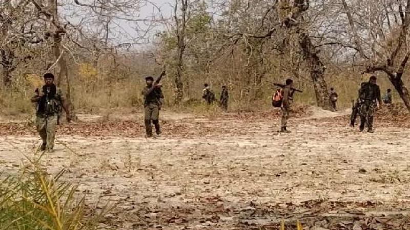 सुकमा जिले में नक्सल हमले के आरोपी बनाए गए 121 ग्रामीण एनआईए कोर्ट से दोषमुक्त