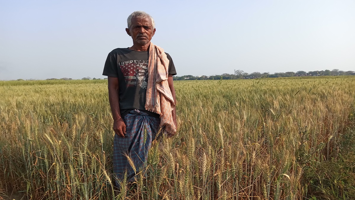 ग्राउंड रिपोर्ट: यूपी के चंदौली में नहरों का जाल फिर भी पानी का अकाल, मुश्किल में गेहूं किसान