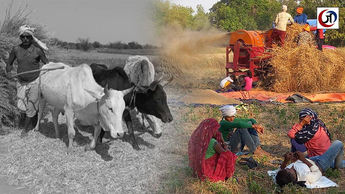 ग्राउंड रिपोर्ट: कृषि यंत्रों के बढ़ते प्रयोग से हल-बैलों की जोड़ी हुई जुदा, हाशिये पर पहुंचे मजदूर