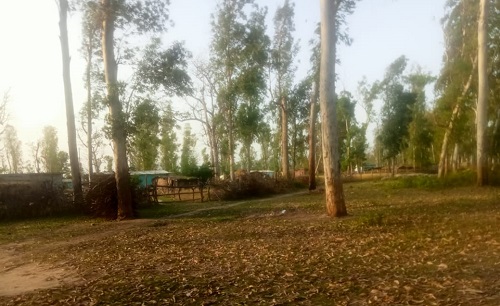 'अमृतकाल' में विकास के लिए तरसता उत्तराखंड का पटरानी गांव 3 patrani 2