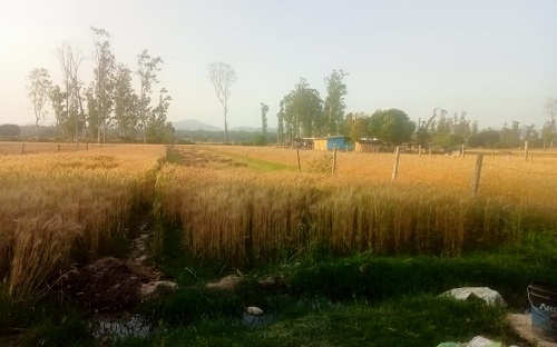 'अमृतकाल' में विकास के लिए तरसता उत्तराखंड का पटरानी गांव 4 patrani 3