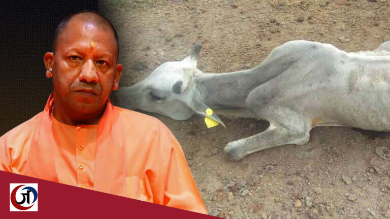 गौ-हत्या के लिए योगी आदित्यनाथ जिम्मेदार!
