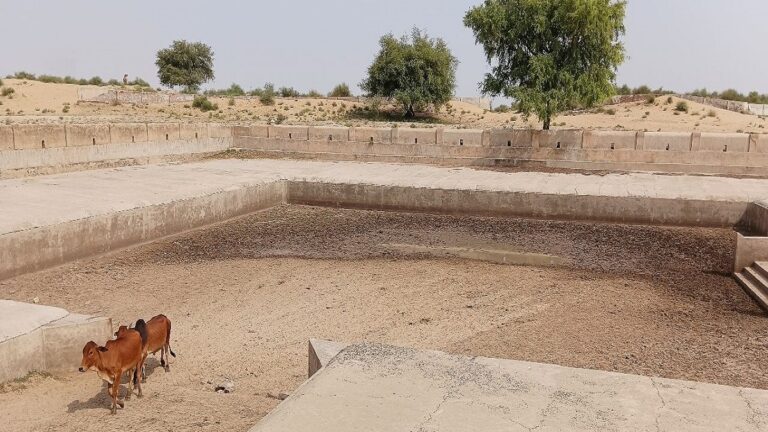 ग्राउंड रिपोर्ट: पानी को तरस रहे बीकानेर के गांव, टैंकर का पानी खरीद कर लोग कर रहे गुजारा