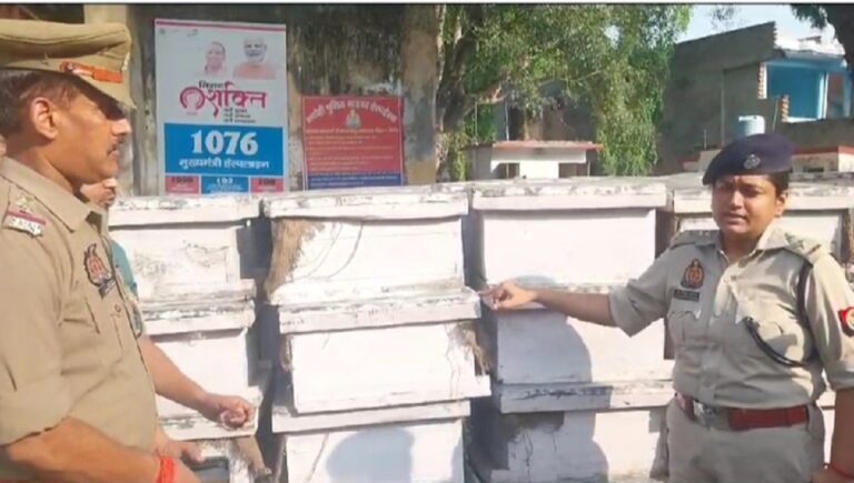 ग्राउंड रिपोर्ट: बिहार में न शराब बंद हुई है और न ही इसका अवैध कारोबार