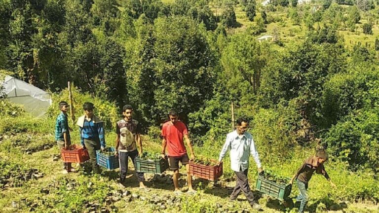 उत्तराखंड: बेरोजगारी में डूबते गांव के युवा