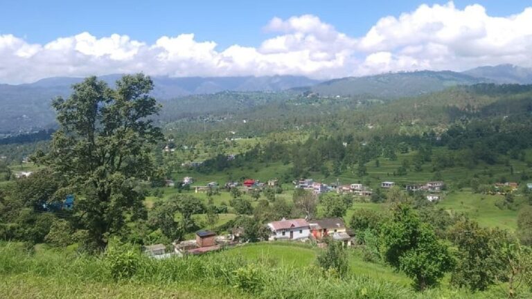 उत्तराखंड: जड़ी-बूटियों से जब दवा कंपनियां हो रहीं मालामाल, तो ग्रामीण क्यों होते जा रहे कंगाल?