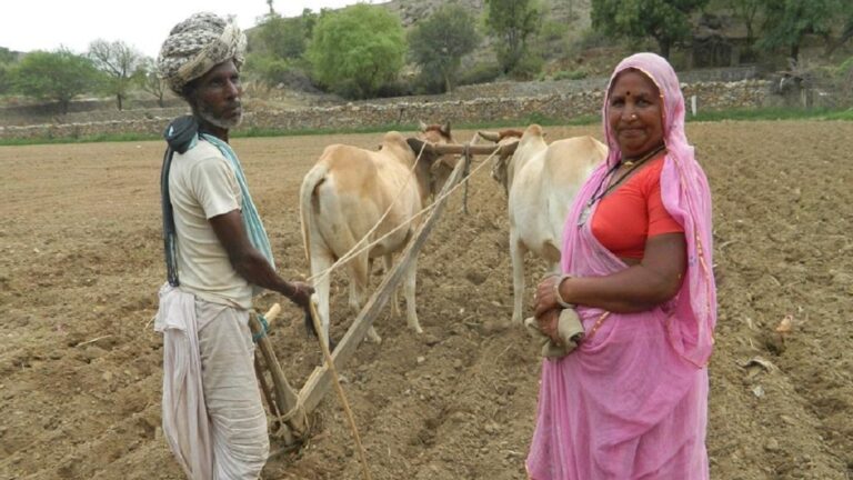 ग्राउंड रिपोर्ट: लूणकरणसर के किसानों पर बेरोजगारी की मार, पेट पालने के लिए दिहाड़ी मजदूर बनने को मजबूर