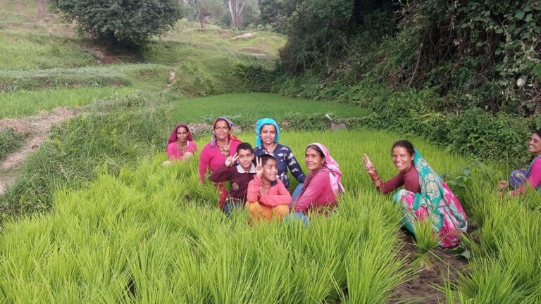 ग्राउंड रिपोर्ट: कृषि में पुरुषों से अधिक भूमिका निभातीं उत्तराखंड के चौरसों गांव की महिलाएं