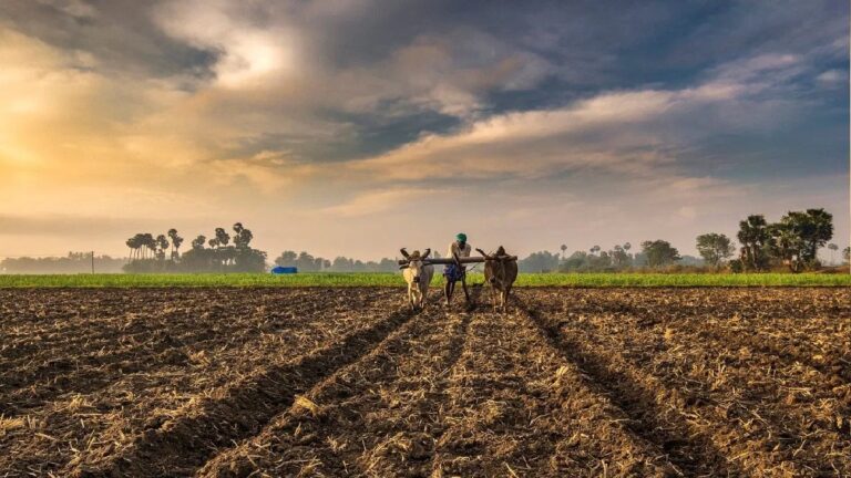 पर्यावरण में हो रहे बदलाव का फसल उगाने के चलन पर पड़ रहा असर