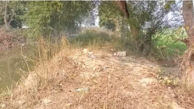 ग्राउंड रिपोर्ट: 27 वर्ष पहले से बनी सड़क झाड़ियों में हुई गुम, ग्रामीण ढूंढ रहे रास्ता
