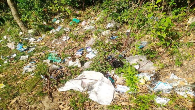 ग्राउंड रिपोर्ट: हरे-भरे गांव में फैल रही गंदगी