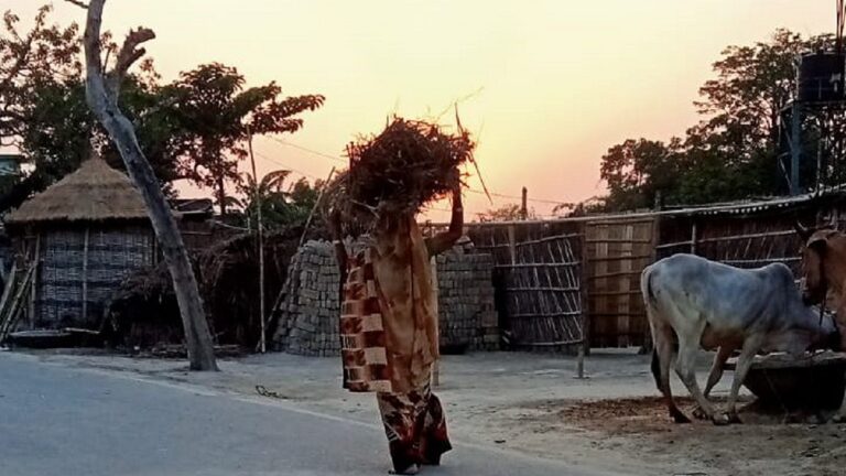 ग्राउंड रिपोर्ट: सामाजिक रूढ़िवाद से आज़ाद नहीं हुआ विधवा पुनर्विवाह
