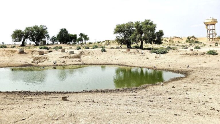 ग्राउंड रिपोर्ट: तपती गर्मी में खारे पानी की सज़ा