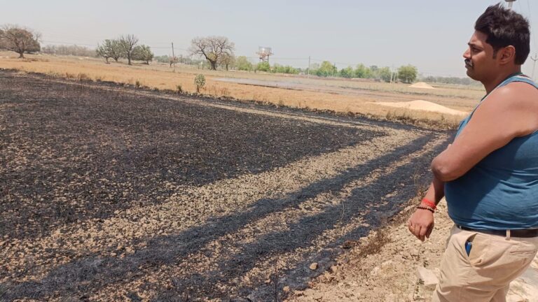 ग्राउंड रिपोर्ट: चंदौली के नरवन इलाके के ओयरचक गांव में किसानों के सामने ही ख़ाक हो गई उनकी सारी मेहनत 