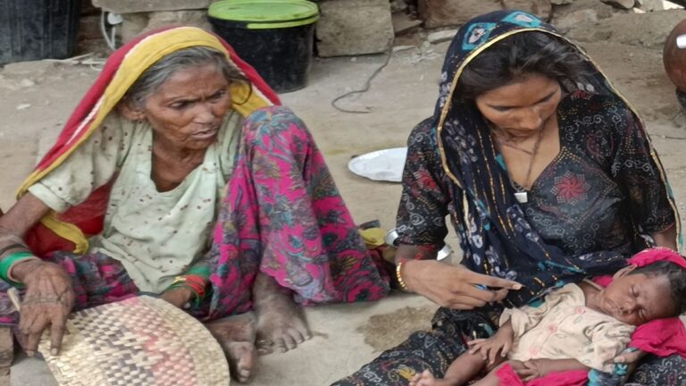 ग्राउंड रिपोर्ट: रोज़गार की कमी से जूझता कालबेलिया समुदाय