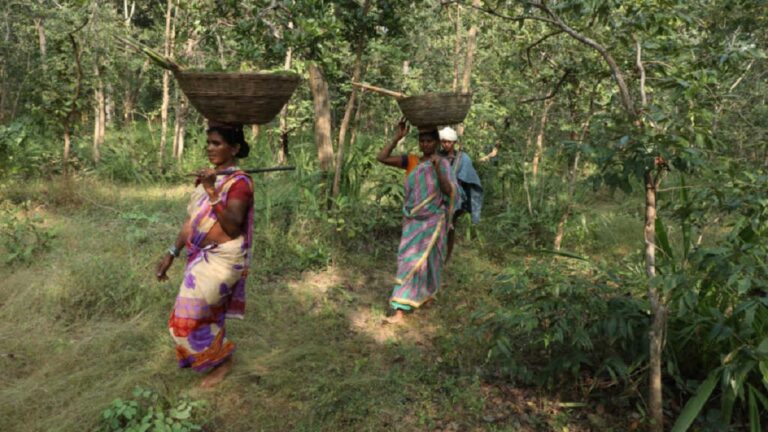 भाजपा की विभाजनकारी राजनीति को खारिज करता अंतर राज्य आदिवासी महिला संगठन