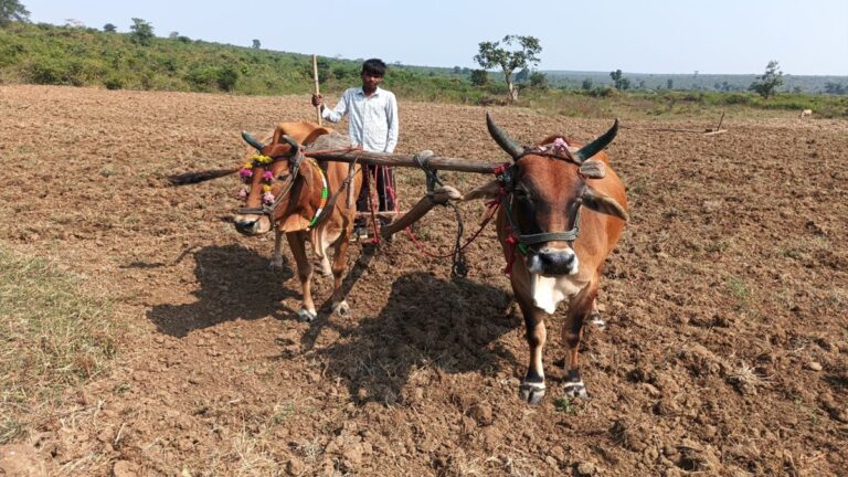 ग्राउंड रिपोर्ट : मध्यप्रदेश में ज़मीन का पट्टा ना मिलने की समस्या से क्यों जूझ रहे आदिवासी!