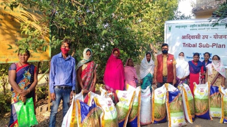 जनजाति सब प्लान बजट : घोषणाएं ज्यादा पैसा कम