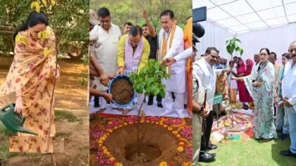 मंच से हरियाली बचाने के वादे, और फ़ाइलों में पेड़ों की कटाई के आदेश