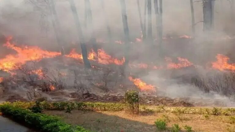 नैनीताल में प्रदूषण और धुंध: जंगल की आग बनाम मैदानी क्षेत्र का प्रकोप