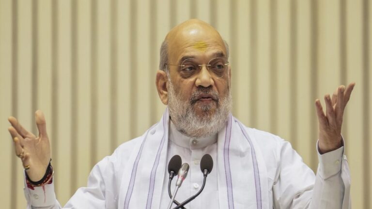 अमित शाह की अंग्रेजी से नफरत की हकीकत