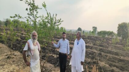 मध्यप्रदेश : पेट भर सकें पक्षी इसीलिए उनके हवाले किया पूरा बगीचा