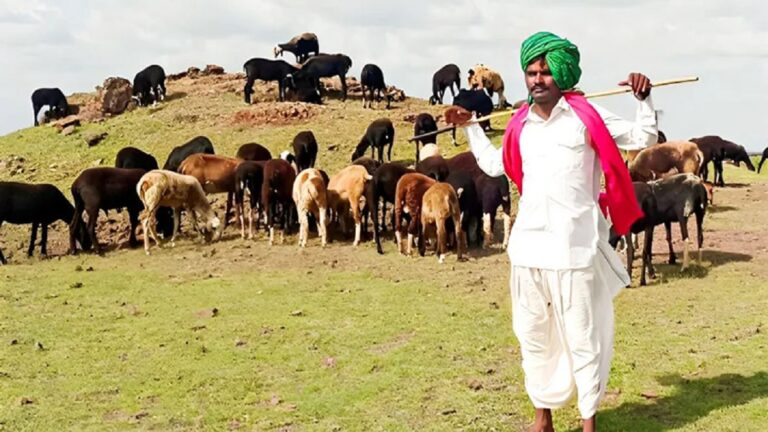 सोनभद्र की धांगर जाति के नाम पर फर्जी प्रमाण पत्रों का खेल, एआईपीएफ ने उठाई कार्रवाई की मांग