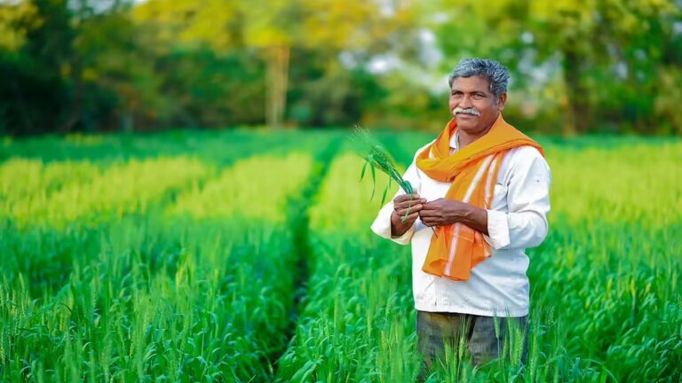 धन-धान्य कृषि योजना: खेती के संकट कहीं और, समाधान कहीं और